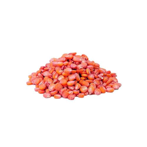 Semente De Milho Doce 1051 Para Milho Verde E Pamonha 1 Kg