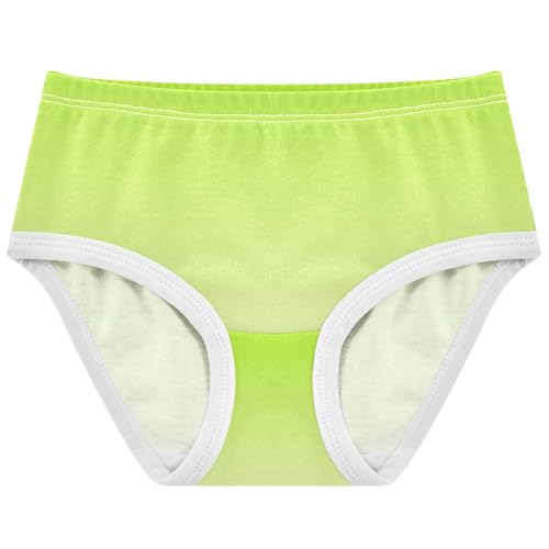 Joisal Florals Girls Underwear Toddler 2t Cotton Cute Panties Girl Lemon Green Cornsilk Gradient Briefs Underpants