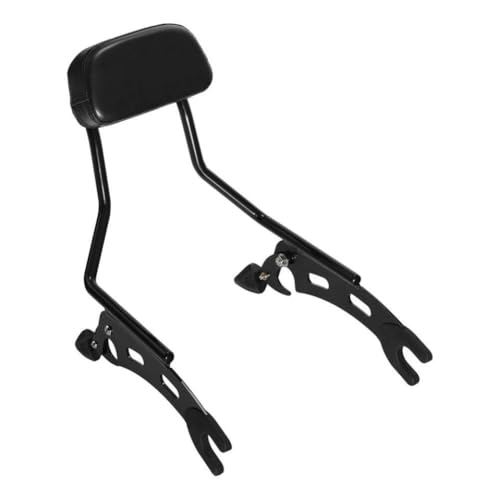 Beifahrer-Sissy-Bar-Rückenlehne, kompatibel mit Indian Chief Dark Horse Chief Bobber Super Chief Limited 2022 2025 Sport Chief 2023 2025