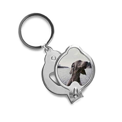 Coupe-ongles chien gris avec photo d'animal domestique pour soin des griffes