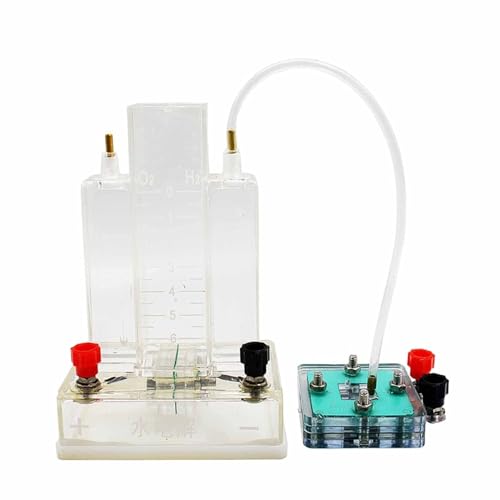 Hydrogen fuel cell Ballard system