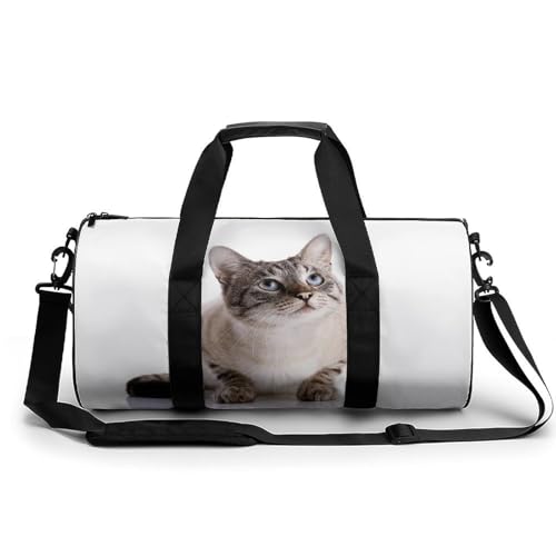 Sac de voyage chat gras idéal pour vos week-ends de camping et randonnée