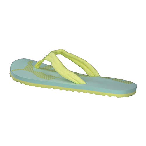 Image of PUMA Epic Flip V2 Synthetic Slipon Womens Athleisure Flip Flops