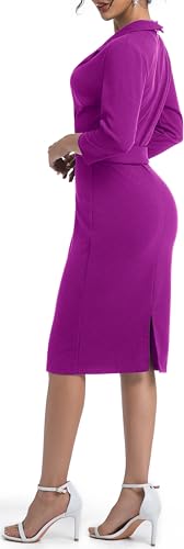 Image of SxClub Business Dresses for Women Elegant Long Sleeve Bodycon Pencil Knee Length Formal Dress for Evening Cocktail