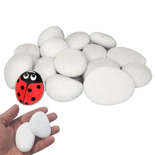 ARCPNRT Guijarros, Piedras de Río Blancas Pulidas, Guijarros Blancos Pulidos, Piedras de Jardín Blancas Grandes, para Paisajismo, Decoración del Hogar, Manualidades, Proyectos Artísticos 4-8 cm, 1kg
