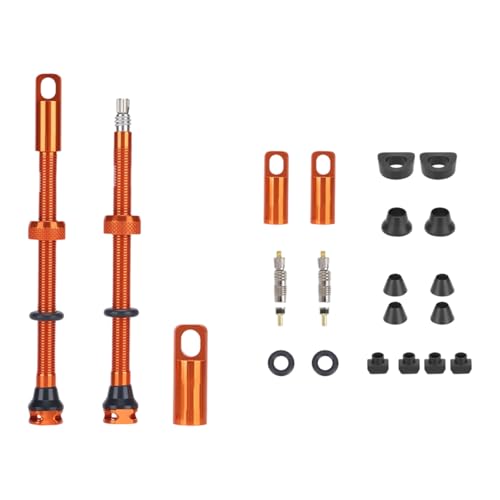 Compacts yʎO\ȃA_v^[RAjo[TNCbNA_v^[[hoCN^CeiX Compacts TCNOou