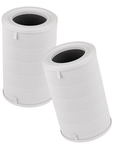 Exlyric 1000 Replacement Filter 2-Pack
