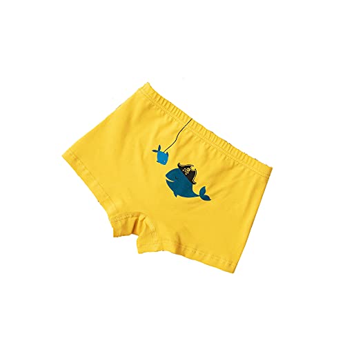 Image of Boxer Boys Briefs Underwear Kids Cotton Shorts Underpants Size Years Pack of 5
