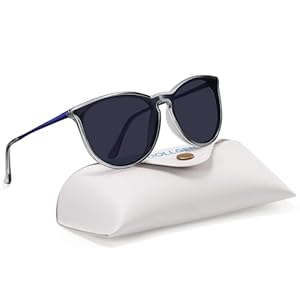 Dollger Oversized Trendy Sunglasses for Women, 100% UV Protection for Driving, Riding, Beach, and Travel