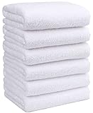 Orighty 6 Pack Premium Hand Towels - Ultra Soft & Highly Absorbent - Microfiber Coral Velvet for Bathroom, Gym, Shower, Spa, Quick Drying Hand Towel 15 x 25 inches (White)