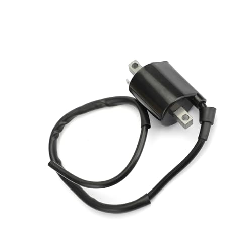 Bobine d'allumage contre les pannes de démarrage du Kart G2 G9 G11 J38-82310-20-00