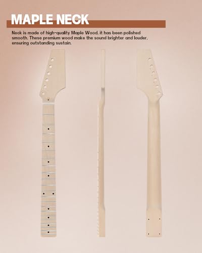 Leo Jaymz DIY Electric Guitar Kits (TL)