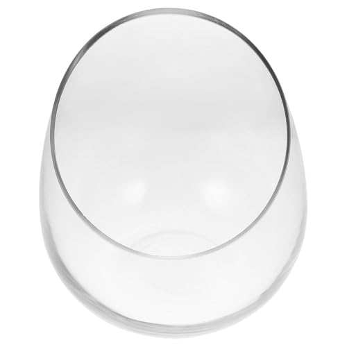 Vase hydroponique en verre transparent CANIGHT design pour fleurs - 8