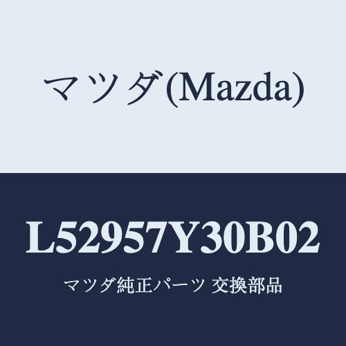 シャドウロック SHADOW LOCK 14ポンド 中古 箱有 ストーム シャドウ