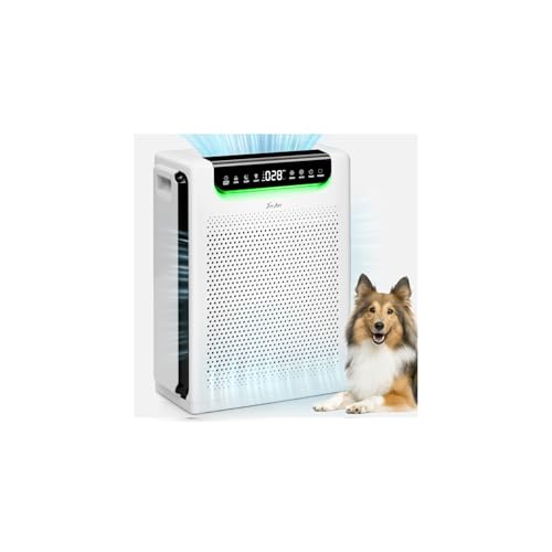 Large Room Air Purifier with Washable Filters