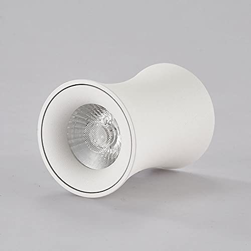 Faretto da soffitto Moderno, faretto da Superficie per Interni, Lampada monopunto, Lampada da soffitto Geometrica a LED da 15 W, faretti da soffitto per Soggiorno, corridoio/Nero 6000K