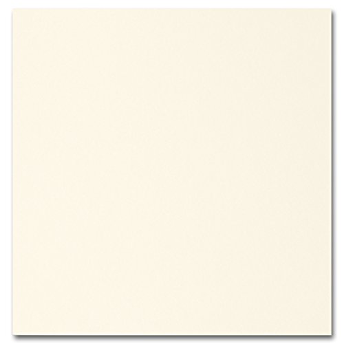 Image of Enclosure Cards, 4-7 /8 inch x 5 inch, 250 Count (RRENCE)