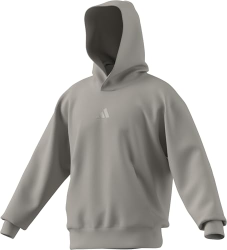 adidas mens All Szn Fleece Hoodie Wonder Alumina,Large