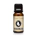 Coconut Cream Premium Grade Fragrance Oil - Scented Oil - (10ml)
