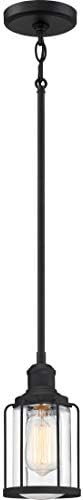Quoizel Ludlow 1-Light Earth Black Mini Pendant Light with Clear Glass Shade, Industial Style Hanging Light for Kitchen, Bar, Living Room, or Bedroom