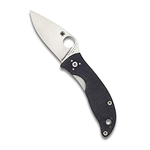 Spyderco Alcyone Value Folding Knife with 2.91