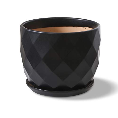Pot de fleur en céramique YRYRYW pour sauver vos plantes grasses