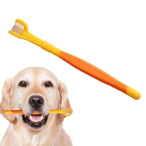 Zmijkol LpuV \tgApuV ^p | LpuVX[TChps[eB[PAuV,ƒpybgp̔ĽoqPAuV₷