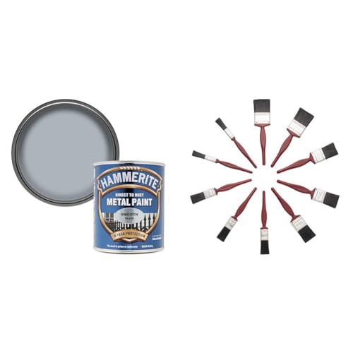 Hammerite Direct to Rust Metal Paint - Smooth Silver Finish 750ML & Fit For The Job 10 pc Mixed Sizes Paint Brush Set for a Smooth Finish with Emulsion, Gloss, Satin