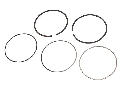 GM Genuine Parts 89018107 Engine Piston Ring Kit