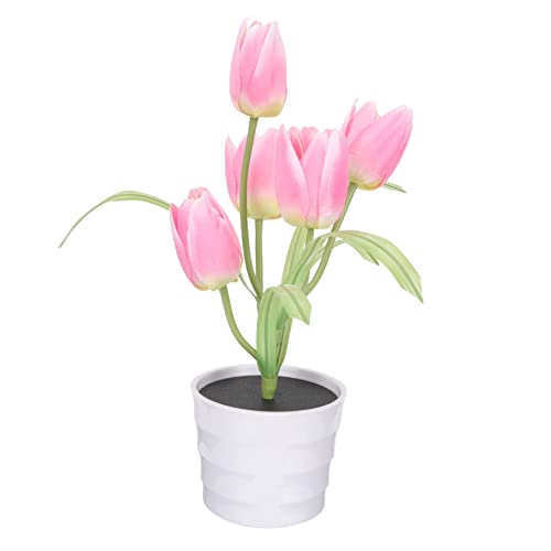 Pot lumineux solaire tulipe pour éclairer un coin de jardin sombre