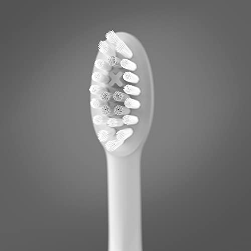 Têtes brosse à dents électrique sonique Ordo élimination plaque