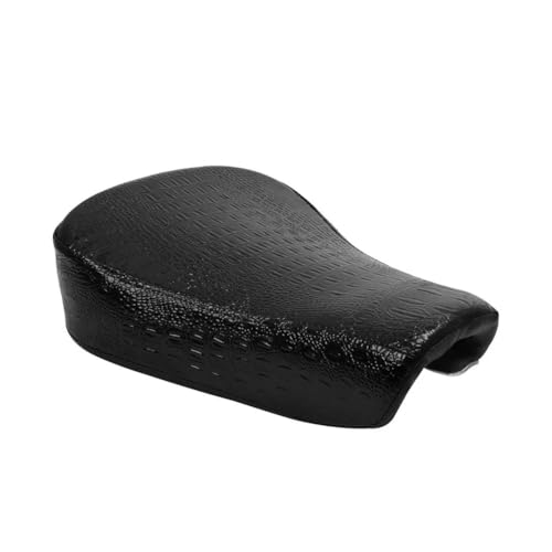 Cojín delantero de moto para rutas de fin de semana en Sportster 1200