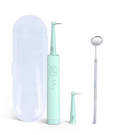 Electric Dental Calculus Remover, BWI Steel Grit Teeth Cleaning Scraper for Stains Tooth,Plaque and Tartar Remover with LED Light, IPX6 Waterproof Dental Clean Tools