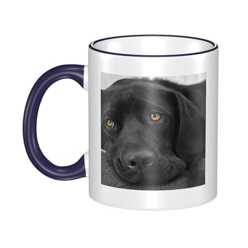 }OJbv e 330ml  ύ ϗ ubNuh[q킢 y 킢 HJbv 낢  蕨 qǂ jp Navy Blue