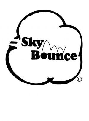 Sky Bounce UNKNOWN Color Rubber Handballs thumb #2