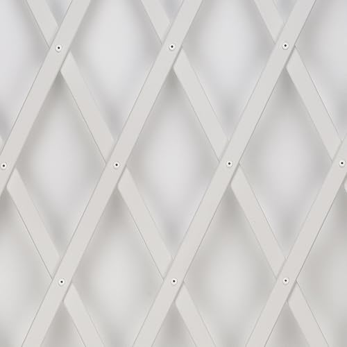 TENAX Treplas 100x200 cm Blanc, Treillis Extensible Décoratif en PVC pour Soutenir Les Fleurs et...