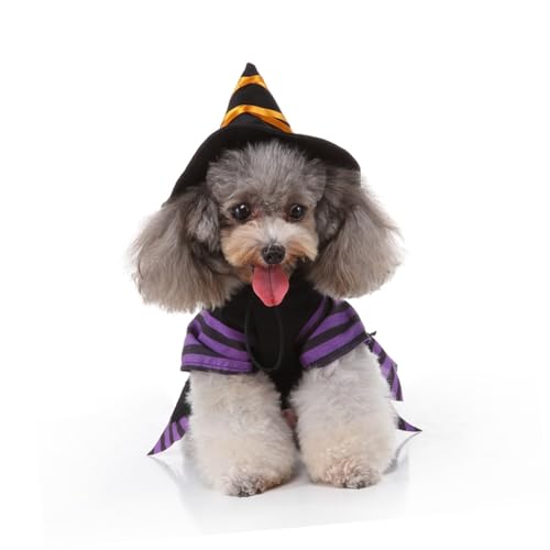 Disfraz de Bruja Halloween para Perro Talla L miniatura 7