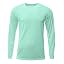 Pastel Mint