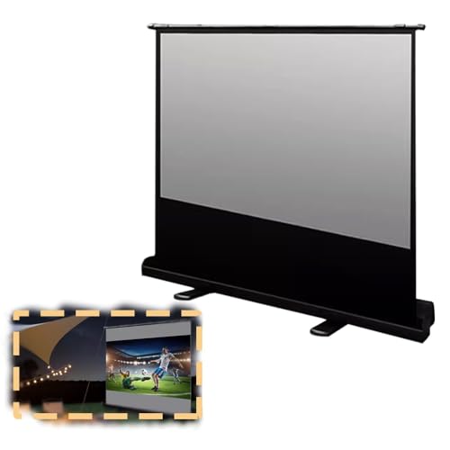 Pantalla de proyección manual de 60 pulgadas