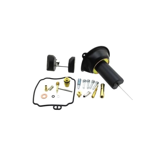 Kit de réparation carburateur XV250 Virago avec pointeau et flotteur étanche
