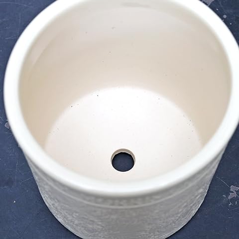 Amazon.co.jp: ガーデニング雑貨 陶器鉢 ウィリアムモリス マリー