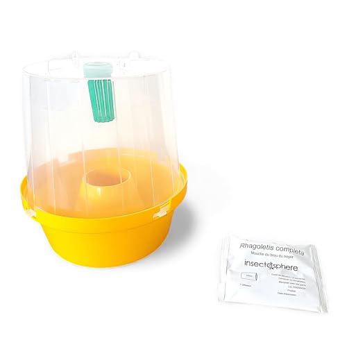 INSECTOSPHERE Kit Anti Mouche du brou de Noix Piège à phéromone Dacus completa – Détection et Protection Naturelle des noyers (Piège + Attractif)