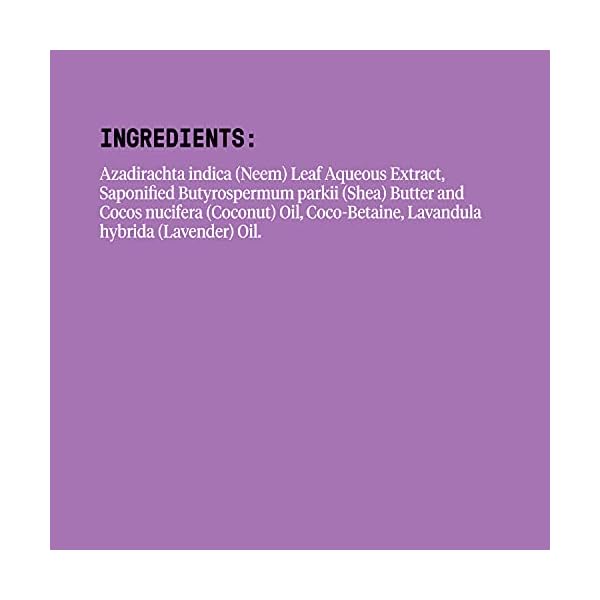 Alaffia-Everyday-Shea-Body-Wash-Naturally-Helps-Moisturize-and-Cleanse-Without-Stripping-Natural-Oils-with-Shea-Butter-Neem-and-Coconut-Oil-Fair-Trade-Lavender-32-Ounces Alaffia - EveryDay Shea Body Wash, Naturally Helps Moisturize and Cleanse without Stripping Natural Oils with Shea Butter, Neem, and Coconut Oil, Fair Trade, Lavender, 32 Fl Oz