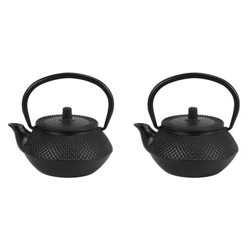 Giwnhvx 2 Teiere in ferro con infusore in acciaio inossidabile in ghisa giapponese teiera Oolong Tea Puer Teiera 300 ml