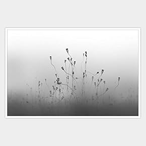 SIGNWIN Framed Canvas Wall Art Black and White...