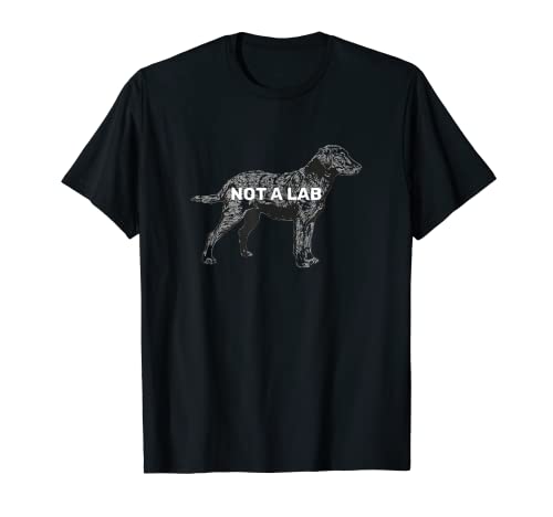 Not A Lab, Chesapeake Bay Retriever Men Women TShirt T-Shirt Not A Lab, Chesapeake Bay Retriever Men Women TShirt T-Shirt