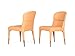 HomeRoots Orange Faux Leather, Metal Set of Two Peach Rosegold Dining Chairs