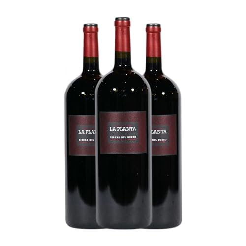 Arzuaga La Planta Tempranillo Ribera del Duero Joven Botella Magnum 1,5 L Vino tinto (Caja de 3 Botella Magnum de 1,5 L)