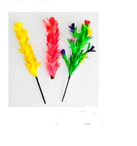 Color Changing Plumes To Bouquet Flower Magic Tricks - 18 Years And Up-image-11