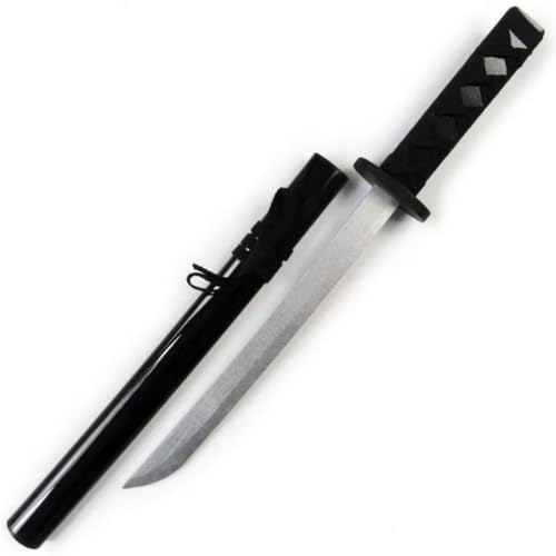 ZanLore ؓ  { fUp |  t S55cm 75cm 100cm Jn `IȍH| SҌ RXvp  p[eB[ W m×p u   Be ʐ^p p 蕨 (S55cm)